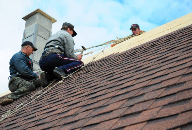 Roof Gutter Cleaning in Ackley, IA
